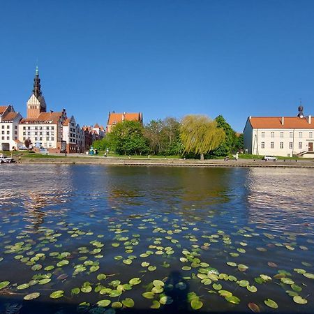 Stare Miasto Kwiaty Elblag Exteriér fotografie