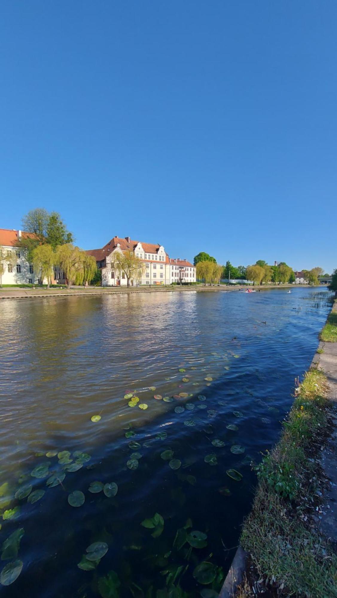 Stare Miasto Kwiaty Elblag Exteriér fotografie